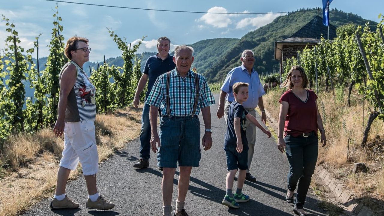 Spaziergang in den Weinbergen Spaziergang in den Weinbergen